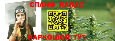 ГАЛЛЮЦИНОГЕННЫЕ ГРИБЫ Пугачёв