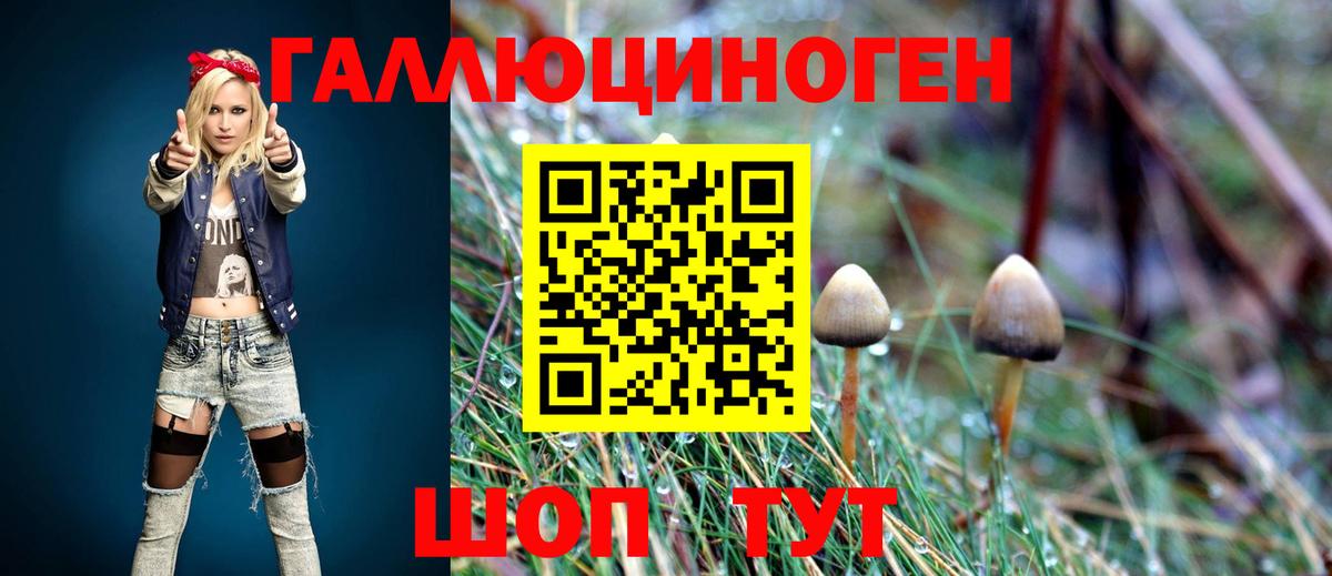 Советская Гавань  Галлюциногенные грибы мицелий  Вход с VPN 