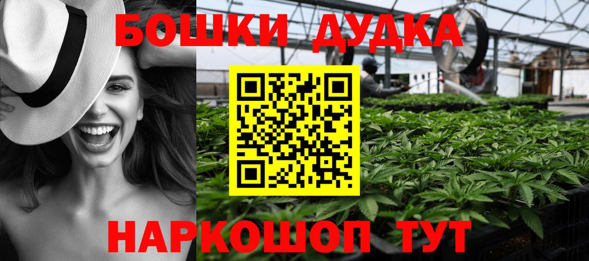 Конопля OG Kush Советская Гавань